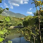 Shtegu I Gjelber- Wood 5*