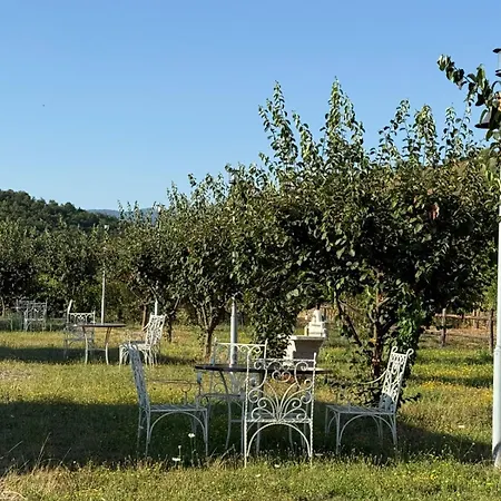 מלון Shtegu I Gjelber- Wood Kukes