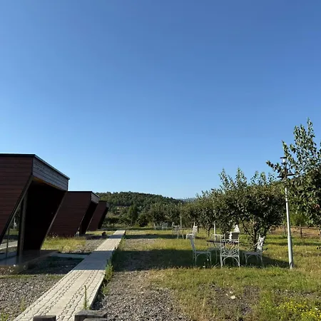 Shtegu I Gjelber- Wood